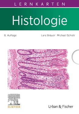 Abbildung von Bräuer / Scholz | Lernkarten Histologie | 8. Auflage | 2024 | beck-shop.de