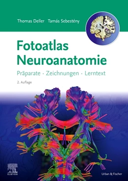 Abbildung von Deller / Sebestény | Fotoatlas Neuroanatomie | 2. Auflage | 2024 | beck-shop.de
