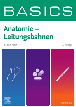 Abbildung von Rengier | BASICS Anatomie - Leitungsbahnen | 3. Auflage | 2024 | beck-shop.de