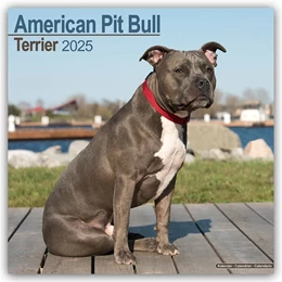 Abbildung von Avonside Publishing Ltd | American Pit Bull Terrier 2025 - 16-Monatskalender | 1. Auflage | 2024 | beck-shop.de