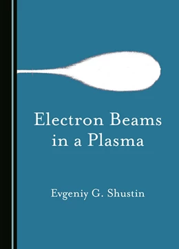 Abbildung von Shustin | Electron Beams in a Plasma | 1. Auflage | 2024 | beck-shop.de