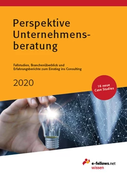 Abbildung von E-Fellows. Net / Fritz | Perspektive Unternehmensberatung 2020 | 12. Auflage | 2019 | beck-shop.de