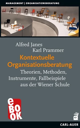 Abbildung von Janes / Prammer | Kontextuelle Organisationsberatung | 1. Auflage | 2021 | beck-shop.de