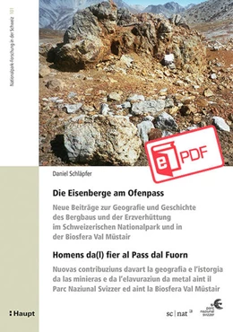 Abbildung von Schläpfer | Die Eisenberge am Ofenpass - Homens da(l) fier al Pass dal Fuorn | 1. Auflage | 2021 | beck-shop.de