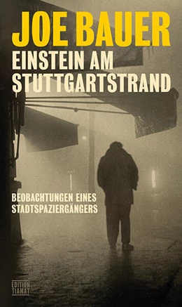 Abbildung von Bauer | Einstein am Stuttgartstrand | 1. Auflage | 2024 | beck-shop.de