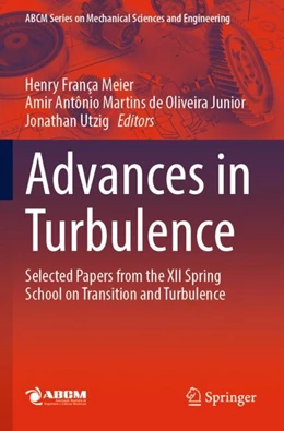 Abbildung von Meier / de Oliveira Junior | Advances in Turbulence | 1. Auflage | 2024 | beck-shop.de