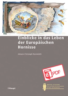 Abbildung von Kornmilch / Kerth | Einblicke in das Leben der Europäischen Hornisse | 1. Auflage | 2022 | beck-shop.de