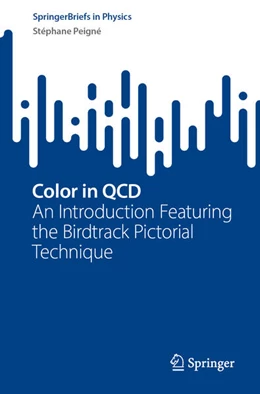 Abbildung von Peigné | Color in QCD | 1. Auflage | 2024 | beck-shop.de
