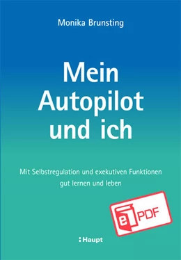 Abbildung von Brunsting | Mein Autopilot und ich | 1. Auflage | 2023 | beck-shop.de