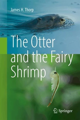 Abbildung von Thorp | The Otter and the Fairy Shrimp | 1. Auflage | 2024 | beck-shop.de