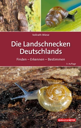 Abbildung von Wiese | Die Landschnecken Deutschlands | 3. Auflage | 2024 | beck-shop.de