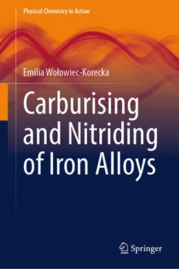 Abbildung von Wolowiec-Korecka | Carburising and Nitriding of Iron Alloys | 1. Auflage | 2024 | beck-shop.de