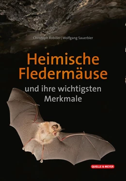 Abbildung von Robiller / Sauerbier | Heimische Fledermäuse und ihre wichtigsten Merkmale | 1. Auflage | 2024 | beck-shop.de