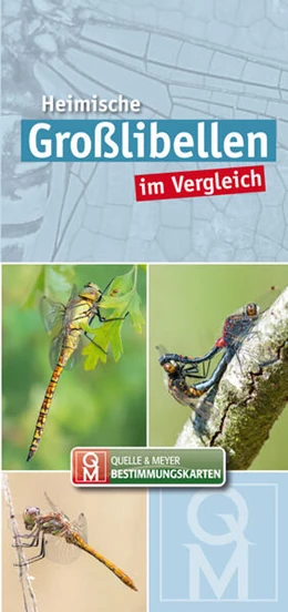 Abbildung von Quelle & Meyer Verlag | Heimische Großlibellen im Vergleich | 1. Auflage | 2024 | beck-shop.de