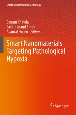 Abbildung von Chawla / Husen | Smart Nanomaterials Targeting Pathological Hypoxia | 1. Auflage | 2024 | beck-shop.de