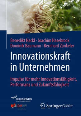 Abbildung von Hackl / Hasebrook | Innovationskraft in Unternehmen | 1. Auflage | 2025 | beck-shop.de