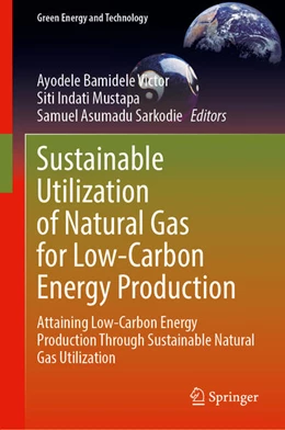 Abbildung von Ayodele / Mustapa | Sustainable Utilization of Natural Gas for Low-Carbon Energy Production | 1. Auflage | 2024 | beck-shop.de