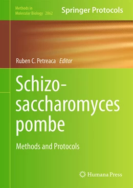 Abbildung von Petreaca | Schizosaccharomyces pombe | 1. Auflage | 2024 | 2862 | beck-shop.de