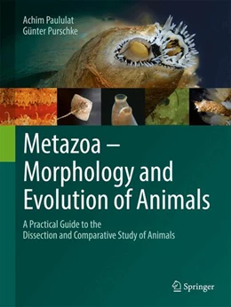 Abbildung von Paululat / Purschke | Metazoa – Morphology and Evolution of Animals | 2. Auflage | 2024 | beck-shop.de