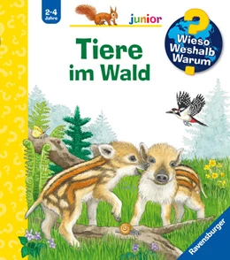 Abbildung von Mennen | Wieso? Weshalb? Warum? junior, Band 77: Tiere im Wald | 1. Auflage | 2025 | beck-shop.de