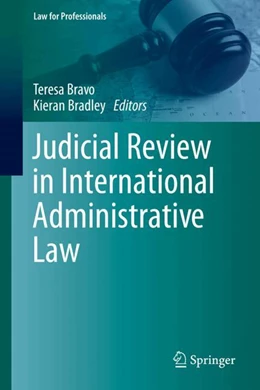 Abbildung von Bravo / Bradley | Judicial Review in International Administrative Law | 1. Auflage | 2024 | beck-shop.de