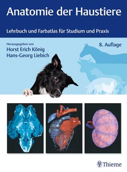 Abbildung von König / Liebich | Anatomie der Haustiere | 8. Auflage | 2024 | beck-shop.de