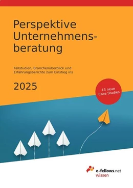 Abbildung von E-Fellows. Net / Fritz | Perspektive Unternehmensberatung 2025 | 16. Auflage | 2024 | beck-shop.de