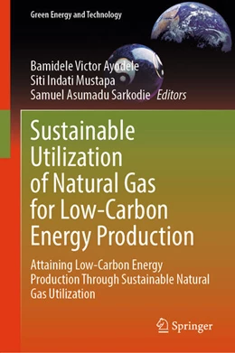 Abbildung von Ayodele / Mustapa | Sustainable Utilization of Natural Gas for Low-Carbon Energy Production | 1. Auflage | 2024 | beck-shop.de