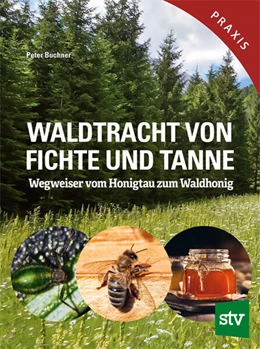 Abbildung von Buchner | Waldtracht von Fichte und Tanne | 1. Auflage | 2024 | beck-shop.de