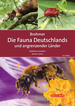 Abbildung von Schaefer / Scheu | Brohmer - Die Fauna Deutschlands und angrenzender Länder | 26. Auflage | 2024 | beck-shop.de