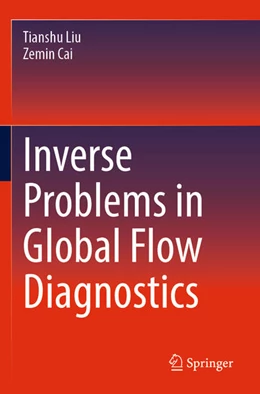 Abbildung von Cai / Liu | Inverse Problems in Global Flow Diagnostics | 1. Auflage | 2024 | beck-shop.de