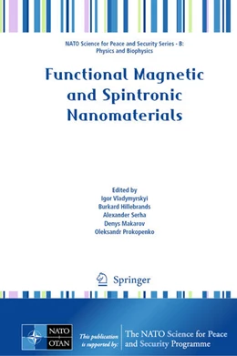 Abbildung von Vladymyrskyi / Hillebrands | Functional Magnetic and Spintronic Nanomaterials | 1. Auflage | 2024 | beck-shop.de