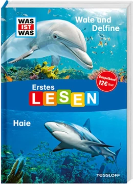 Abbildung von Braun | WAS IST WAS Erstes Lesen Doppelband 4. Wale und Delfine/Haie | 1. Auflage | 2025 | beck-shop.de