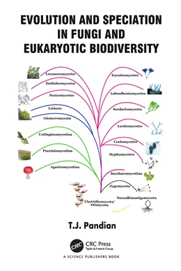 Abbildung von Pandian | Evolution and Speciation in Fungi and Eukaryotic Biodiversity | 1. Auflage | 2024 | beck-shop.de