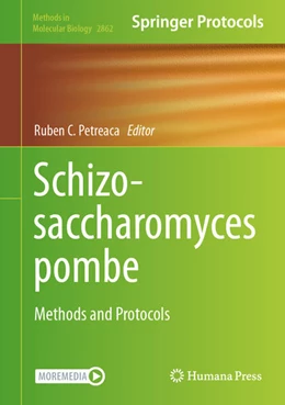 Abbildung von Petreaca | Schizosaccharomyces pombe | 1. Auflage | 2024 | beck-shop.de