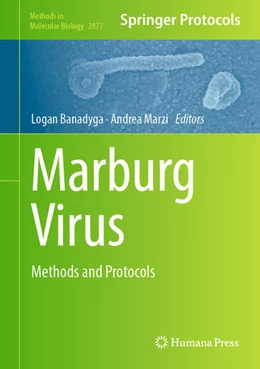 Abbildung von Banadyga / Marzi | Marburg Virus | 1. Auflage | 2024 | beck-shop.de