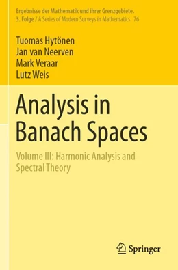 Abbildung von Hytönen / van Neerven | Analysis in Banach Spaces | 1. Auflage | 2024 | 76 | beck-shop.de