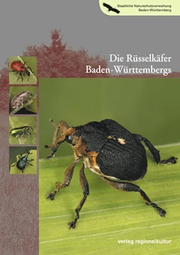 Abbildung von Landesanstalt für Umwelt / Hassler | Die Rüsselkäfer Baden-Württembergs | 2. Auflage | 2010 | beck-shop.de