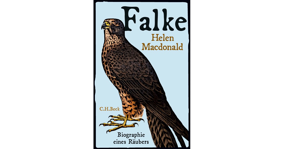 Falke Macdonald Helen Hardcover