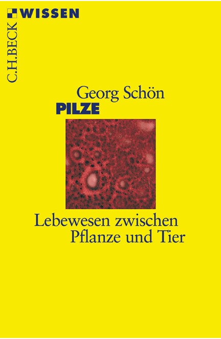 Cover: Georg Schön, Pilze