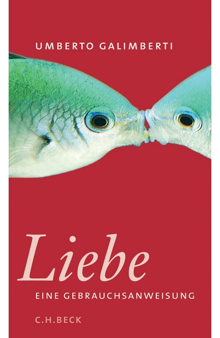 Cover: Annette Kopetzki|Umberto Galimberti, Liebe. Eine Gebrauchsanweisung