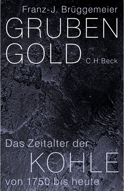 Cover: Franz-Josef Brüggemeier, Grubengold
