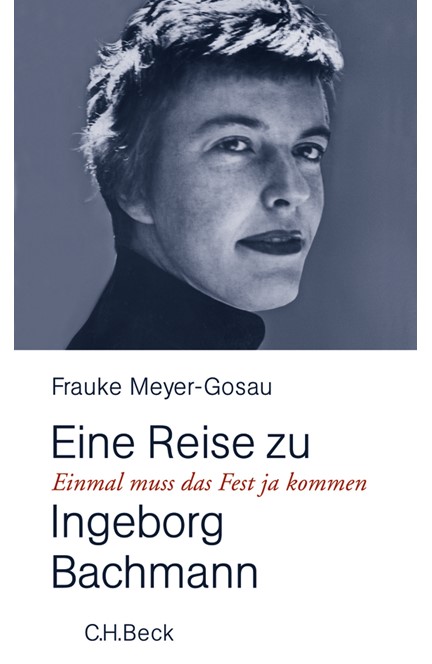 Cover: Frauke Meyer-Gosau, Einmal muß das Fest ja kommen
