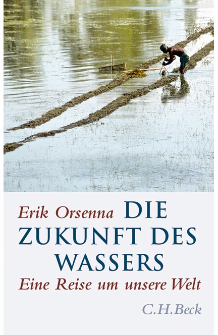 Cover: Erik Orsenna, Die Zukunft des Wassers