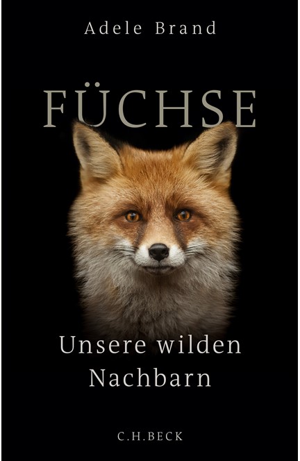 Cover: Adele Brand, Füchse