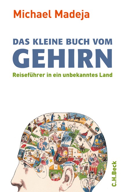 Cover: Michael Madeja, Das kleine Buch vom Gehirn