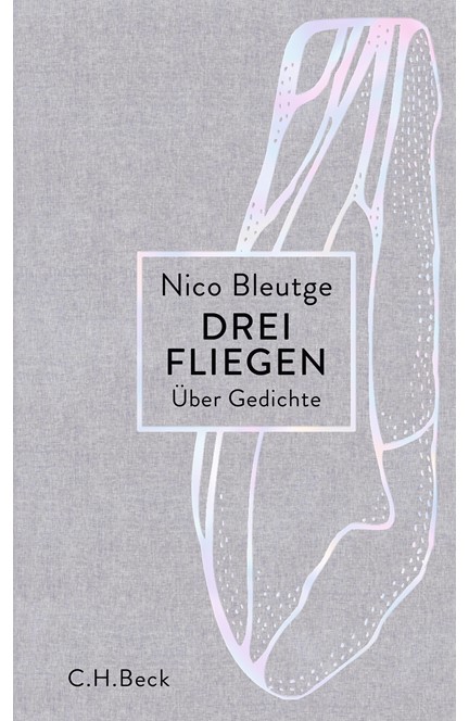 Cover: Nico Bleutge, Drei Fliegen