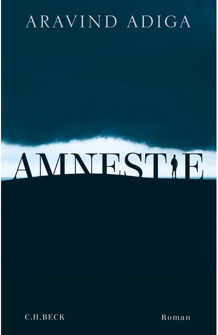 Cover: Aravind Adiga, Amnestie