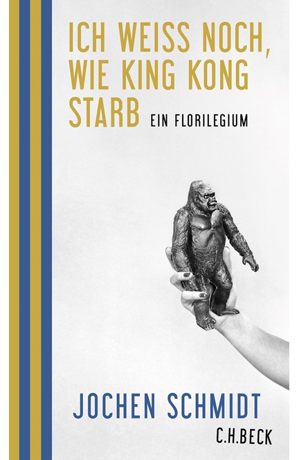 Cover: Jochen Schmidt, Ich weiß noch, wie King Kong starb