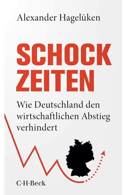 Cover: Alexander Hagelüken, Schock-Zeiten